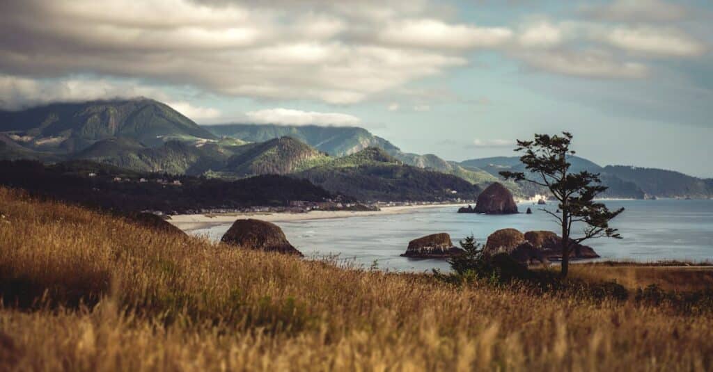 découvrez cannon beach, une magnifique destination côtière réputée pour ses paysages époustouflants, ses plages de sable doré et son emblématique haystack rock. profitez d'activités en plein air, de boutiques charmantes et d'une ambiance conviviale au cœur de l'oregon.